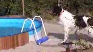 is Keesje bang voor water of ???