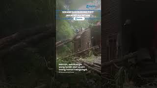 Berita Solo Hari Ini: Rumah Tertimpa Pohon Sekeluarga Mengungsi