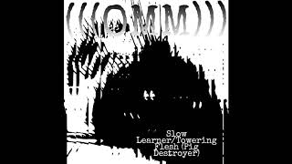 Slow Learner/Towering Flesh (Pig Destroyer)