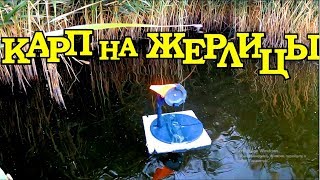 Ловля карпа зимой на жерлицы