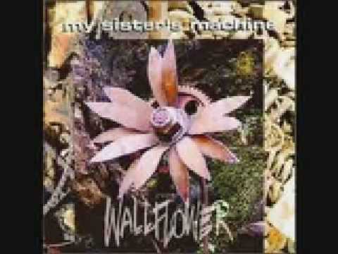 My Sister's Machine - This Is Fear