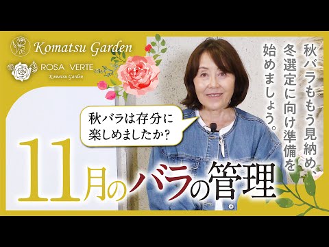 キョウチクトウ豆は切ったほうがいいですか？いつ、どのように行うのですか?ちょっとしたメンテナンスガイド  庭園