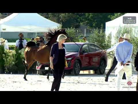 Prague  2023 Intercup   Class 6