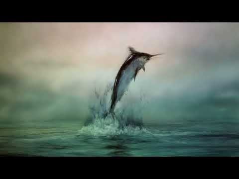 Bande annonce : Le vieil homme et la mer (1999)