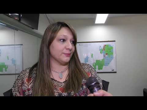 Proyectan un anillo energético para el área metropolitana de Salta y el Valle de Lerma