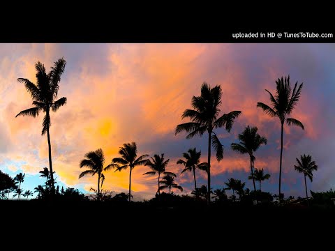 Genshin x Slim Guerilla Type Beat - Prod. Copacetic