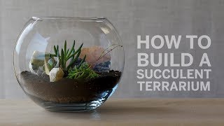 How To Build a Succulent Terrarium