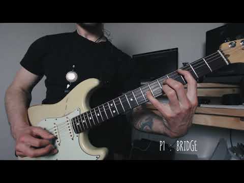 Bare Knuckle True Grit Single Coil Strat : clean tone demo