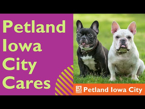 Petland Iowa City Cares