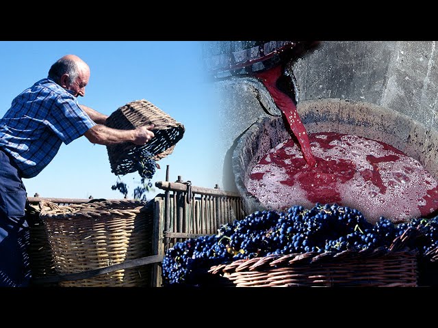 Vídeo relacionado con DECHOUS Copa de Vino de Aleación de Zinc Grabado de Dragón y Ave Mítica, Diseño Clásico para Ambientación del Hogar y Uso en Comidas