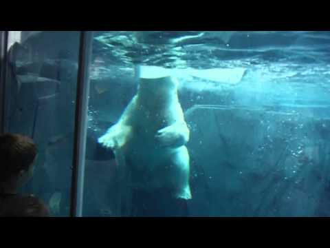 Kali (pronounced Cully)