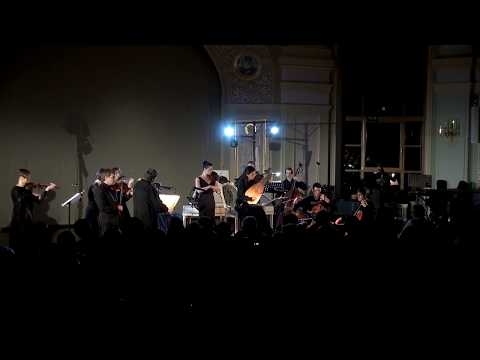 J. F. Fasch - Concerto per liuto, violini, viola, basso. Marina Belova, Pratum Integrum