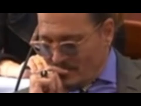 Johnny Depp’s reaction to “My dog stepped on a bee”