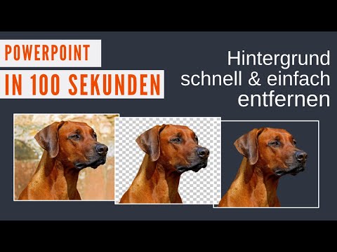 Hintergrund entfernen mit PowerPoint, Bildhintergrund transparent darstellen [POWERPOINT in 100s]