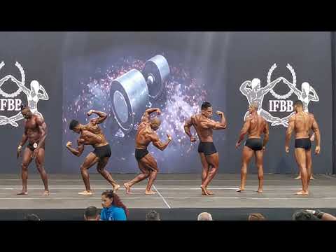 Mr. PERÚ 2023 / Culturismo Clásico +1.71cm