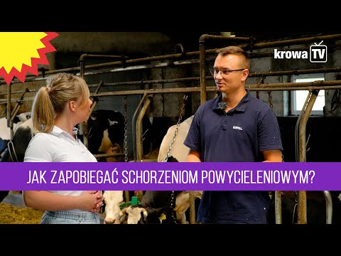 , title : 'KrowaTV: Jak zapobiegać schorzeniom powycieleniowym u krów mlecznych?'