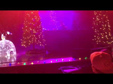 Does A Bear SHiZ in the Woods - GRiZmas 2018 pt.4