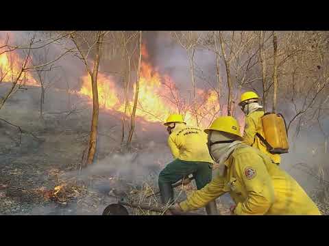 Brigadistas de Combate "MOTIVAÇÃO"