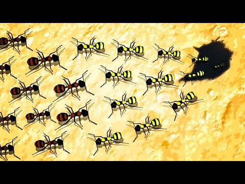 ENDLESS ANT ARMIES Battle for Domination in Empires of the Undergrowth Tug of War!