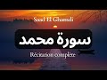 Sourate Muhammad - Sheikh Saad Al Ghamdi سورة محمد