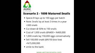 Snail Farming Millionaire Secrets