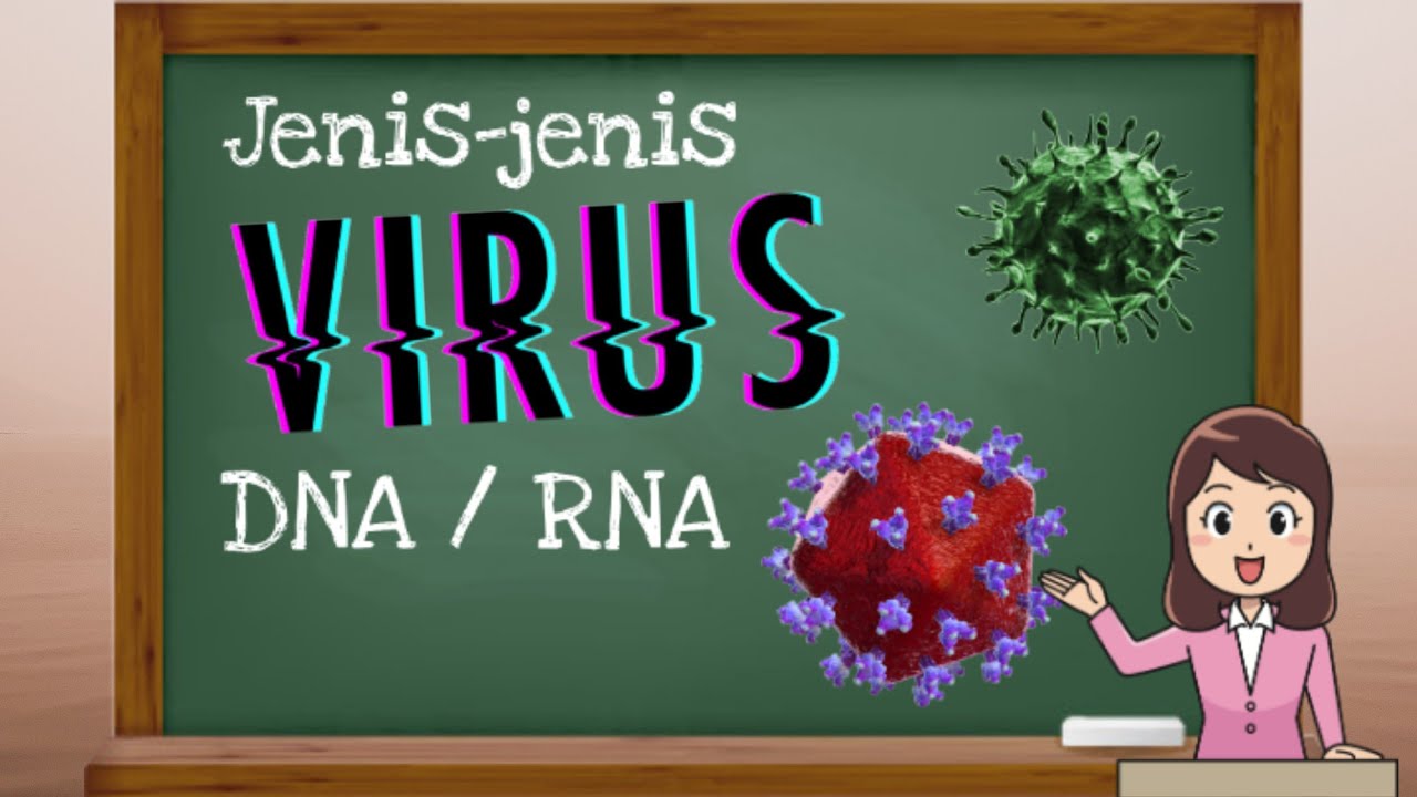 Jenis jenis Virus DNA atau RNA