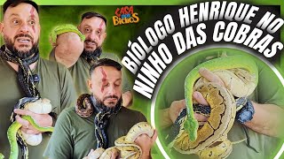 BIOLOGIST HENRIQUE FACE TO FACE WITH THE SNAKES OF THE ANIMAL HOUSE!