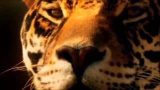 Adam Lambert - By The Rules (MUSIC VIDEO)