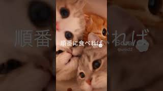 猫の餌を奪い合う修羅場…ボール視点で見たらヤバすぎた【猫あるある】AIアニメ