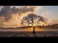 Procession (Vangelis). - Miguel Angleu Procession (Vangelis).