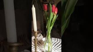 【クラクフ カフェ】Mleczarnia/【Krakow Cafe】Mleczarnia