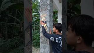 Download lagu Ocoy is confused, why is the lamp stuck to the wall?❗️😱😂❗️ mp3