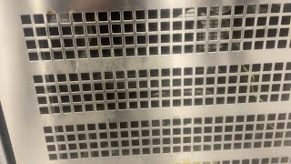 Venta de Desmon Koldjomfru / Kølebord Desmon med skabe fregadora de suelos - Imagen 4 | Machineryline MX Desmon Koldjomfru / Kølebord Desmon med skabe fregadora de suelos | Imagen 4 - Machineryline