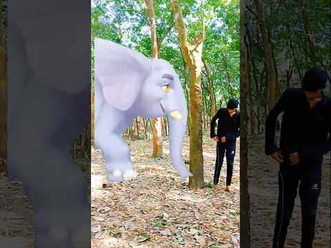 Hati and all animals 😱🙀😱 #hati #anmals