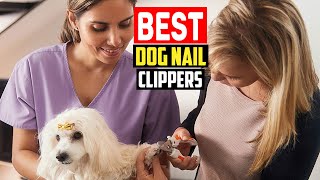✅Top 5 Best Dog Nail Clippers of 2025