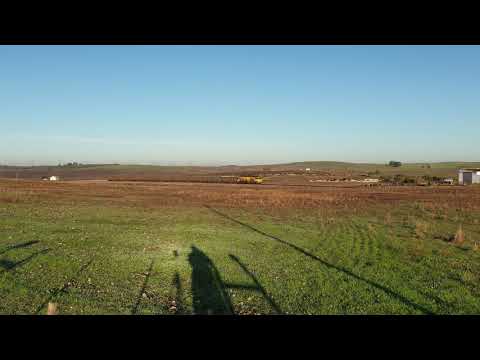 Comboio Especial n.º 91203/2 - Aivados