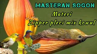 Download lagu Masteran sogon,tembakan pleci zipper mix kowul.  suaranya asyik boloo. wajib dicoba‼️ mp3