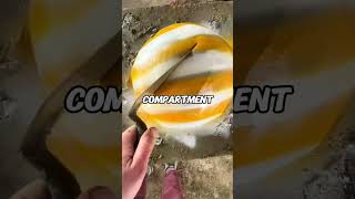 The best chase I&#39;ve ever seen