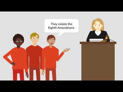 Brown v. Plata Case Brief Summary | Law Case Explained