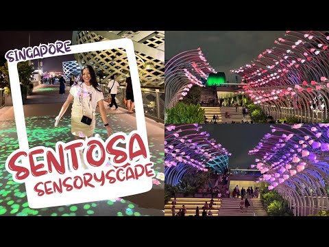 A Mesmerizing Light and Sound Show On The Sentosa Island In Singapore Vlog 132-24