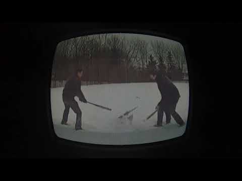 Topi con le ali - TALPA (official video)