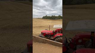 MF 4299 na Bazuca IBL 12.700L