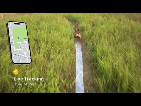 GPS трекер для собак и котов TIZE Smart 4G с ошейником, голосовым поиском, кнопкой SOS, гео забором, черный - фото 1 - id-p2666353441