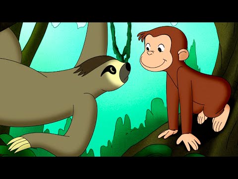 Uma Aventura na Floresta Tropical! | Episódios Completos 🐵 George, o Curioso