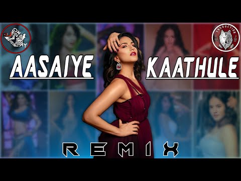 Aasaiya Kaathula | DJ MOE LAY | TikTok Trending Mix