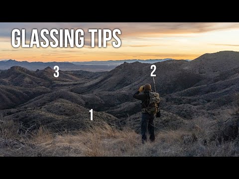 Strategic Glassing Tips | How to Find More Animals