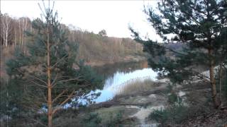 preview picture of video 'Jammerdaalsche heide ( Tegelen) 05-03-14'