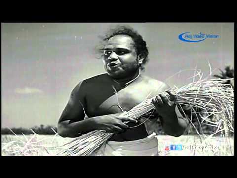 Ennapan Allavaa Song HD | Nandanaar