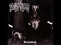 Belphegor - Swarm Of Rats