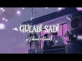 Gulabi Sadi Lofi Song Slowed Reverb